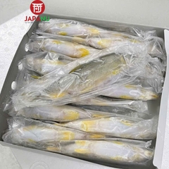 Cá Ayu Nhật Bản - 1Kg (Có trứng & Không trứng)