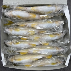 Cá Ayu Nhật Bản - 1Kg (Có trứng & Không trứng)