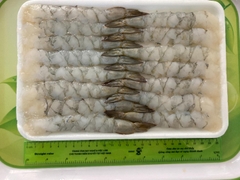 Tôm thẻ Nobashi 400g - Khay 20 con (chuẩn Sashimi)