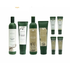Dầu Gội Gừng Xanh Hà Thủ Ô Ngăn Rụng Tóc, Kích Mọc Tóc 400ml