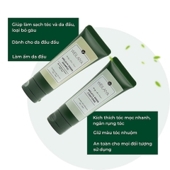 SET GỘI XẢ MINI TINH CHẤT GỪNG HÀ THỦ Ô Weilaiya MÀU NGẪU NHIÊN