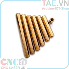 Ốc Lục Giác Đồng M3 Cái - Cái