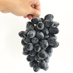 Nho đen Úc Yummy Grapes