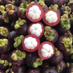 Măng cụt