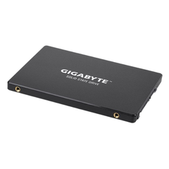 Ổ cứng SSD Gigabyte 9JSS1S256-00-G12