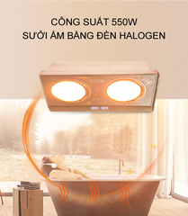 Đèn sưởi nhà tắm 2 bóng Kungfu KF-DS2