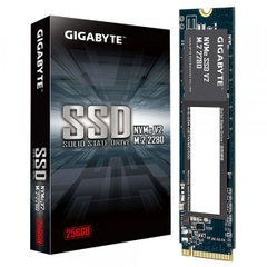 Ổ cứng SSD GIGABYTE 256GB G3NVMEV2256G