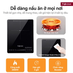 Bếp từ đơn Fujihome IC1391
