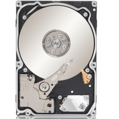 Ổ cứng HDD Doanh nghiệp 3.5 inch (Enterprise HDD) (ST6000NM021B)