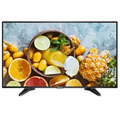 Màn hình máy tính DS-D5032F3-1V0S