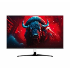 Màn CT-24ich 100hz