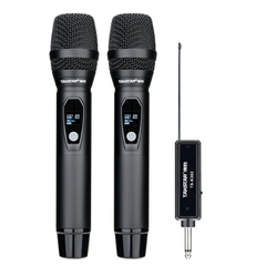 Bộ micro cầm tay không dây kênh kép TS-K302