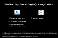Tivi Samsung QLED 4K 75 inch 75Q7F5 (QA75Q7F5) – giá đại lý