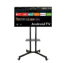 Giá treo E1750 ( 32" - 55" )