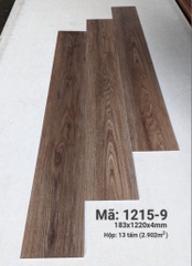SÀN NHỰA HÈM KHOÁ 4MM