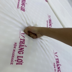 NỆM FOAM CAO CẤP MASSAGE THẮNG LỢI