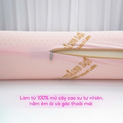 GỐI ÔM CAO SU THIÊN NHIÊN THẮNG LỢI