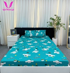 BỘ DRAP THUN THẮNG LỢI