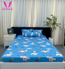 BỘ DRAP THUN THẮNG LỢI