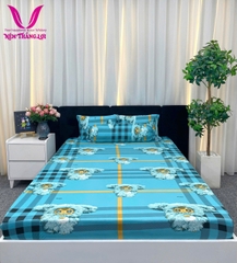 BỘ DRAP THUN THẮNG LỢI