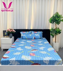 BỘ DRAP THUN THẮNG LỢI