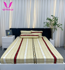 BỘ DRAP THUN THẮNG LỢI