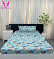 BỘ DRAP THUN THẮNG LỢI