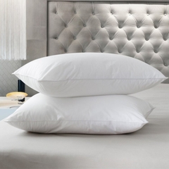 GỐI HƠI BÔNG GÒN 40*60