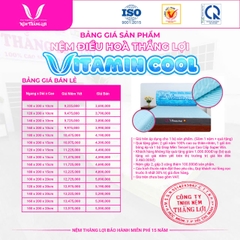 NỆM CAO SU ĐIỀU HOÀ VITAMIN COOL THẮNG LỢI