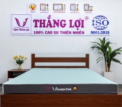 NỆM CAO SU ĐIỀU HOÀ VITAMIN COOL THẮNG LỢI