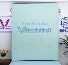 NỆM CAO SU ĐIỀU HOÀ VITAMIN COOL THẮNG LỢI