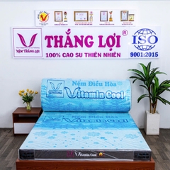 NỆM CAO SU ĐIỀU HOÀ VITAMIN COOL THẮNG LỢI
