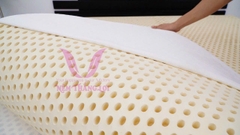 NỆM 100% CS THIÊN NHIÊN TITI DOUBLE FUNCTION