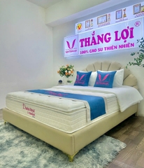 NỆM LÒ XO TÚI CAO CẤP DANISA ROYAL THẮNG LỢI
