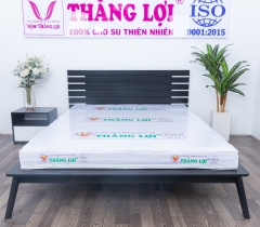 NỆM CAO SU NON CAO CẤP THẮNG LỢI