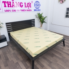 NỆM CSN MASSAGE THẮNG LỢI