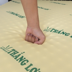 NỆM CSN MASSAGE THẮNG LỢI