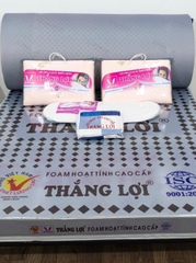 NỆM CS FOAM HOẠT TÍNH CAO CẤP THẮNG LỢI