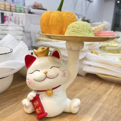 Mèo bưng đĩa,mèo tiết kiệm