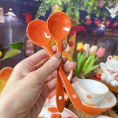 Thìa sắc màu