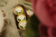 SHANSEN - PHÚ QUÝ CÁT TƯỜNG