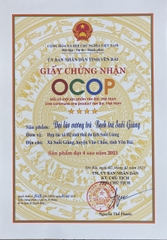 TRÀ SHAN TUYẾT CỔ THỤ - TỨ ĐẠI DANH TRÀ HỘP SƠN MÀI