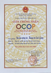 TRÀ SHAN TUYẾT CỔ THỤ - HỘP SƠN MÀI SET HOÀNG - DIỆP