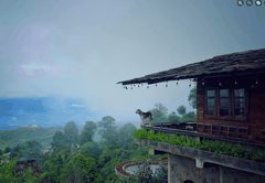 Tour du lịch trải nghiệm