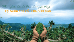 Tour du lịch trải nghiệm