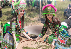 Tour du lịch trải nghiệm