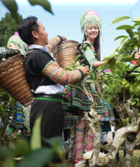 Tour du lịch trải nghiệm