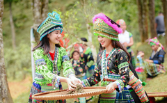 Tour du lịch trải nghiệm