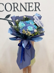 Cẩm tú cầu mix hồng xanh