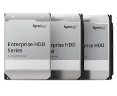 Synology HDD HAT3300 4TB